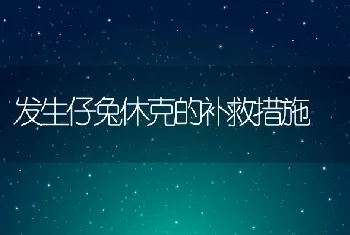 发生仔兔休克的补救措施