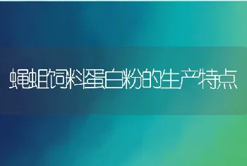 蝇蛆饲料蛋白粉的生产特点