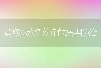 黄喉拟水龟幼龟的病害防治