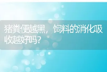 猪粪便越黑，饲料的消化吸收越好吗？