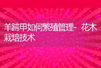 浙江丽水市推进稻田养鱼试点工作