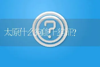 太原什么狗能上狗证？