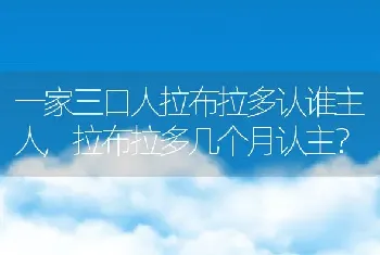 一家三口人拉布拉多认谁主人，拉布拉多几个月认主？