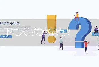 下司犬的优点缺点？