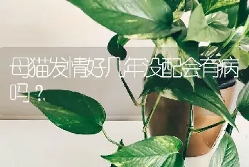 母猫发情好几年没配会有病吗？