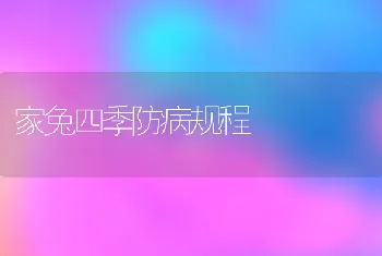 家兔四季防病规程