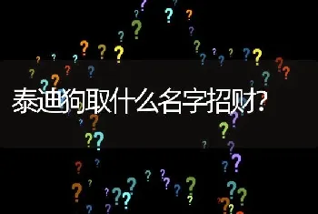 泰迪狗取什么名字招财？