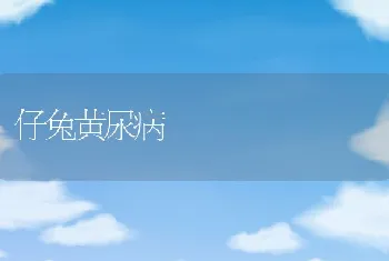 鲈鱼无公害养殖技术