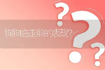 狗狗从配完一直不爱吃食老爱趴着，精神挺好，二十四天了什么原因？