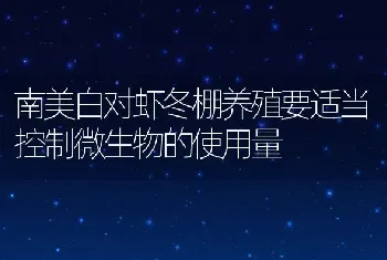 南美白对虾冬棚养殖要适当控制微生物的使用量