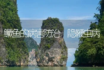 鳜鱼的病害防治-隐鞭虫病