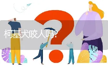 柯基犬咬人吗？