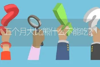 五个月大比熊什么不能吃？