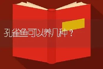 孔雀鱼可以养几种？