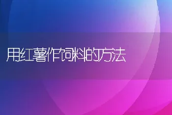 鳜鱼养殖病害防治技术