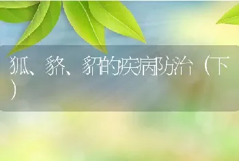 狐、貉、貂的疾病防治（下）