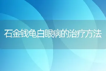 石金钱龟白眼病的治疗方法