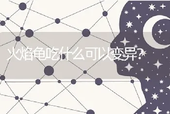 火焰龟吃什么可以变异？