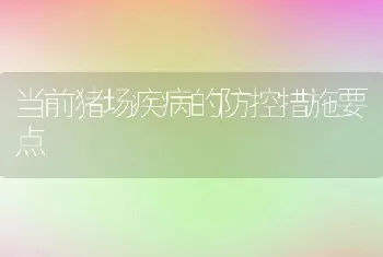 当前猪场疾病的防控措施要点