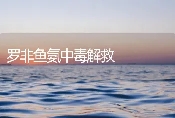 罗非鱼氨中毒解救