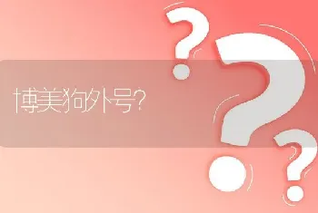 博美狗外号？