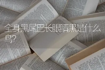 全身黑尾巴长眼睛黑是什么鸟？