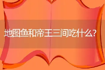 地图鱼和帝王三间吃什么？