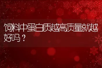 饲料中蛋白质越高质量就越好吗？