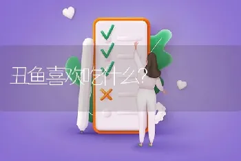 丑鱼喜欢吃什么？