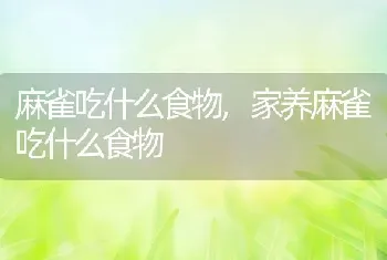 人感染弓形虫会自愈吗，人感染弓形虫能治好吗？