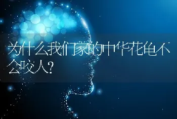 为什么我们家的中华花龟不会咬人？