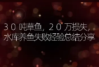 30吨草鱼，20万损失，水库养鱼失败经验总结分享