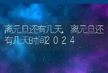 离元旦还有几天，离元旦还有几天时间2024