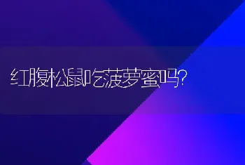 什么狗最便宜好养又听话，不咬人？