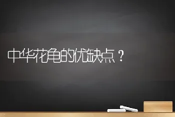 中华花龟的优缺点？