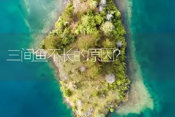 三间鱼不长的原因？