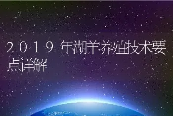 2019年湖羊养殖技术要点详解