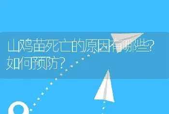 山鸡苗死亡的原因有哪些?如何预防？