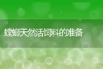 螳螂天然活饲料的准备