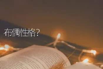 布偶性格？