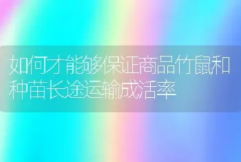 如何才能够保证商品竹鼠和种苗长途运输成活率