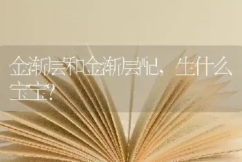 金渐层和金渐层配，生什么宝宝？