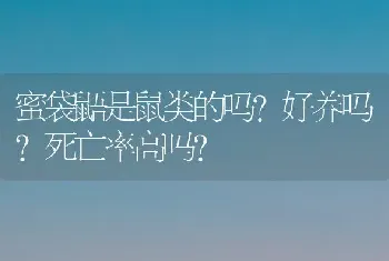 萨摩耶犬的优缺点？