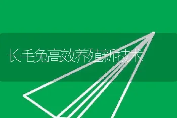 长毛兔高效养殖新技术