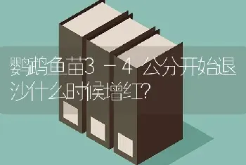 鹦鹉鱼苗3-4公分开始退沙什么时候增红？