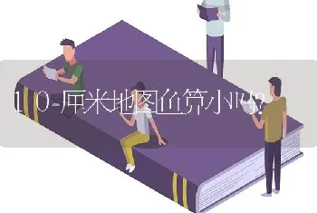 金菠萝鱼怎么分公母图解？