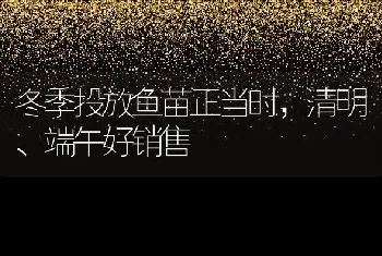 冬季投放鱼苗正当时，清明、端午好销售