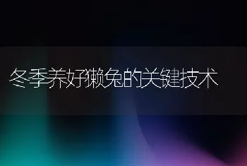 冬季养好獭兔的关键技术