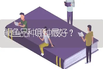 鲷鱼品种哪种最好？