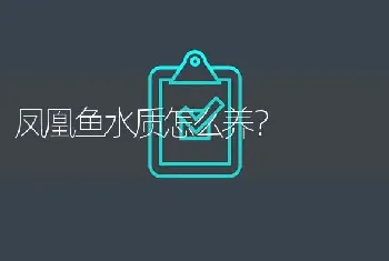 凤凰鱼水质怎么养？